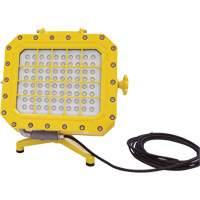 Explosion Proof Floodlight with Floor Stand, LED, 40 W, 5600 Lumens, Aluminum Housing Pathway Supply LP