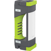 Baladeuse de la s&eacute;rie Pro, DEL, 1000 lumens Pathway Supply LP