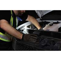 Work Light, Neck Light, Rechargeable, 300 Lumens Pathway Supply LP