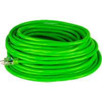 Industrial Extension Cord, All-Weather, SJTW, 10/3 AWG, 15 A, 50' Pathway Supply LP