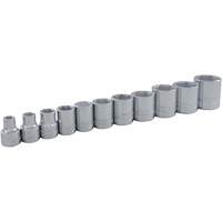 Jeu de douilles SAE, 11 Mcx, Prise de 3/8" Pathway Supply LP
